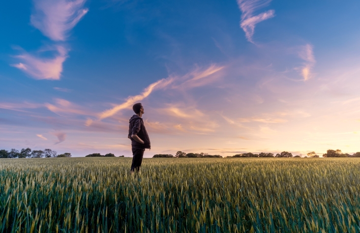 Man in a field looking at the sky